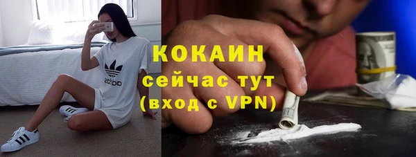 прущие крисы Абаза