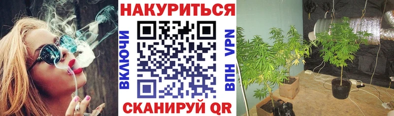 цены   Иваново  OMG ссылка  Марихуана марихуана 